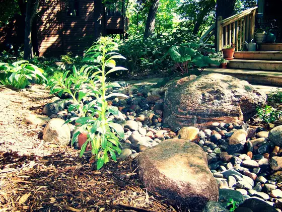 Dry creek bed of river rock and boulders channeling runoff through a wooded backyard garden