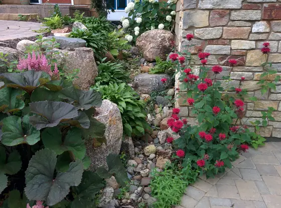 River-rock dry creek bed with boulders, hostas, astilbe, and red bee balm beside a natural stone wall for yard drainage