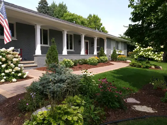 Front-yard landscape with a paver walkway, blue spruce, coneflowers, and hydrangeas framing a covered porch
