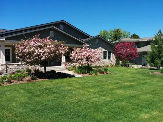 Craftsman home in Edina with pink flowering crabapple trees, stone-edged foundation beds, and a lush manicured front lawn
