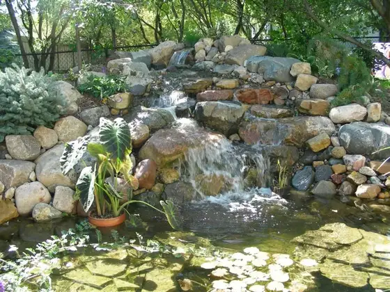 Backyard boulder waterfall cascading into a koi pond surrounded by garden plantings