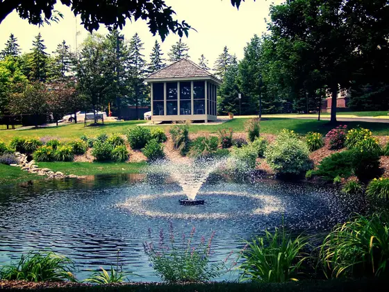 Backyard pond with a spray fountain and planted shoreline leading to a wooden gazebo