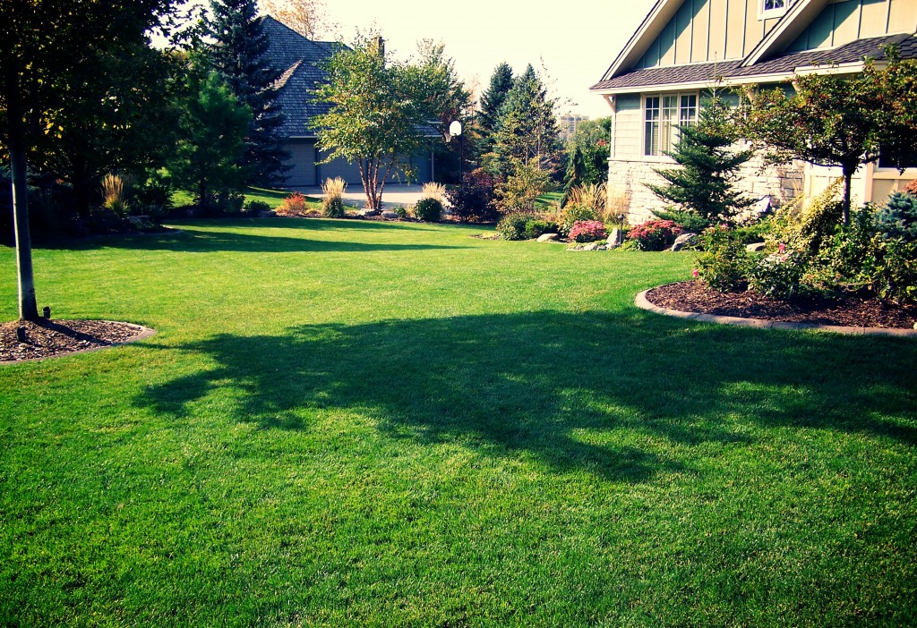 Lawn Care Great Goats LandscapingGreat Goats Landscaping