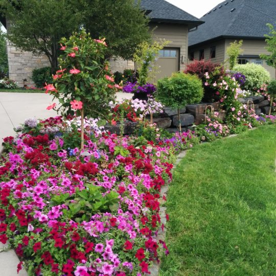 Flower Beds & Color - Great Goats LandscapingGreat Goats Landscaping