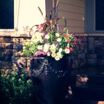annuals-color-flower-planting-urn-Lakeville-mn.jpg
