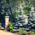 blue-spruce-landscaping-plymouth-mn