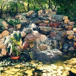 pond-waterfall-water-feature-koi-burnsville-mn