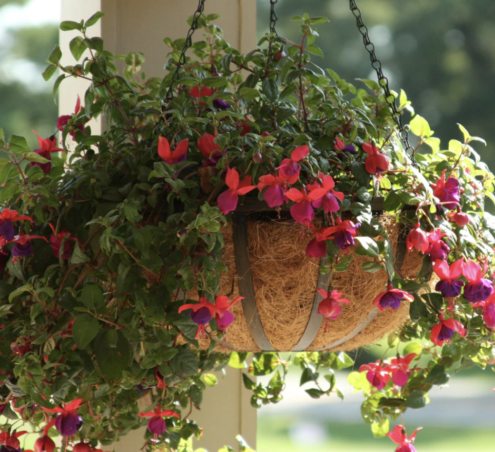 flower basket 